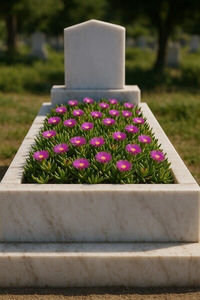 Tunç Botanik MEZAR - KABİR ÇİÇEKLİ BİTKİ SETİ - 90 ADET KAZ AYAĞI + 20 KG DOLOMİT TAŞI