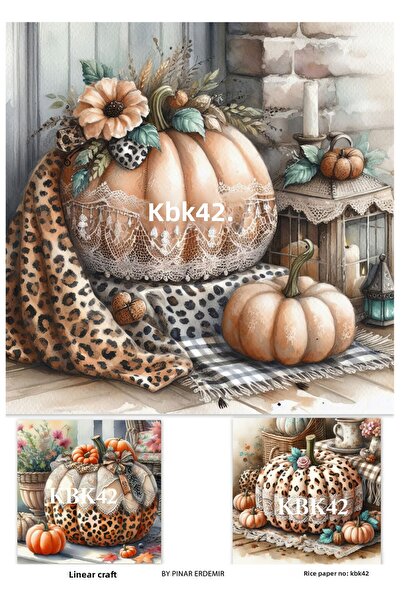 LİNEART Pumpkin Pattern Rice Decopage Paper No:Kbk42- 29X42Cm