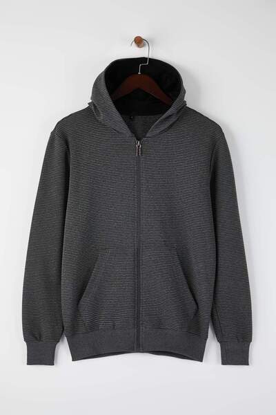 Trendyol Collection Антрацит Regular/Normal Крій на блискавці з капюшоном Світшот TMNAW26SW00067