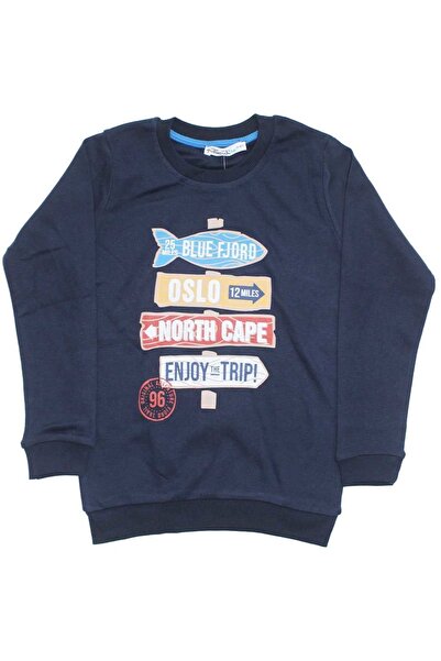 bebegen Хлопчачий одяг North Cape з принтом, одношаровий светр