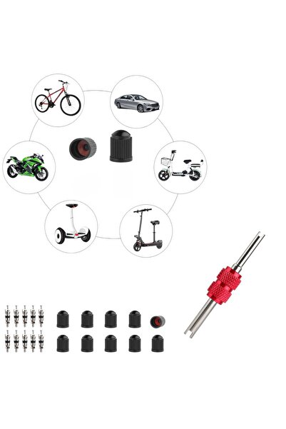 OEM Set of 10 valves and 10 wheel caps for car valve with screw-in/screw-out screwdriver, scooter