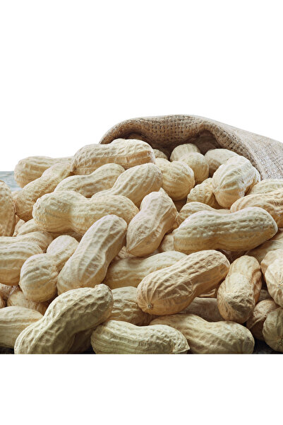 Emsal Kabuklu Tuzlu Kavrulmuş Osmaniye Yer Fıstığı 1000 G