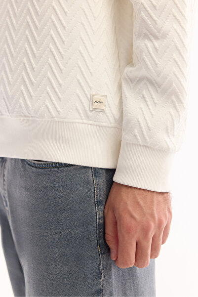 Avva Men's Ecru Crew Neck Textured Elastane Regular Fit Sweatshirt A52Y1216