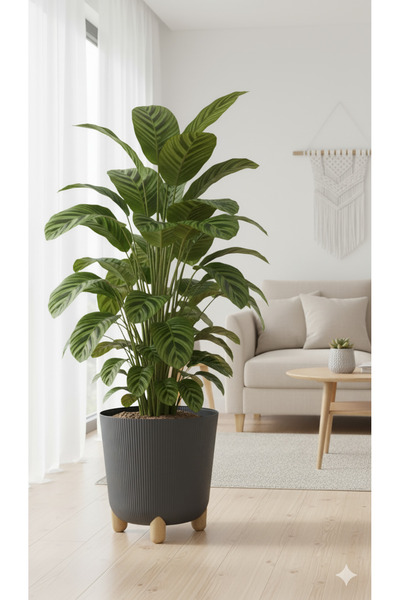 okacih Büyük Modern Stick Line Saksı Akıllı Altlıklı 30x30 Cm 25 Litre