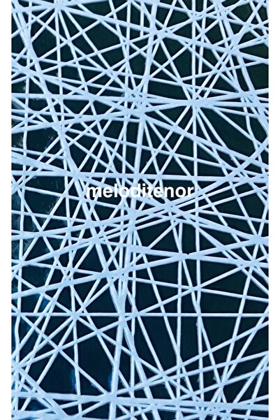 TNR Meiwa Transparent Coating White Thread Pattern Edge Lace Luxury Pvc Rectangular Oilcloth Tablecloth