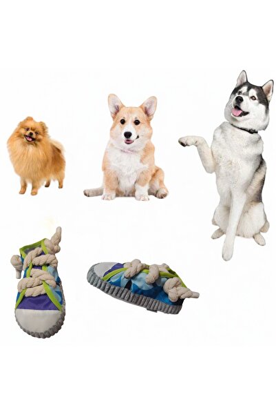 OEM Toy for small dogs, shoe-shaped with sound, 18x8x4.5 cm, blue and purple