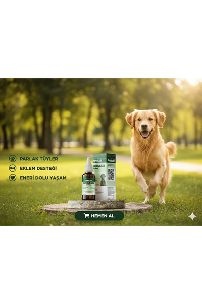 Petalab Dogasin For Dogs 50 ml (KÖPEK İÇİN KOLAJENLİ TÜY SAĞLIĞI DAMLASI)