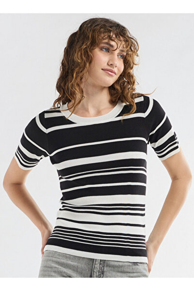 FAV خط العنق الأعلى