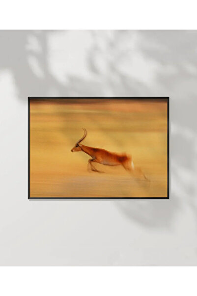 VOGLOO Desert Antilobu Poster