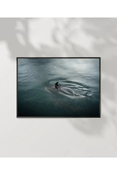 VOGLOO Poster in the Water