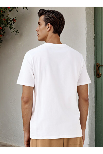 SP Characters One Piece Print Regular Fit T-shirt