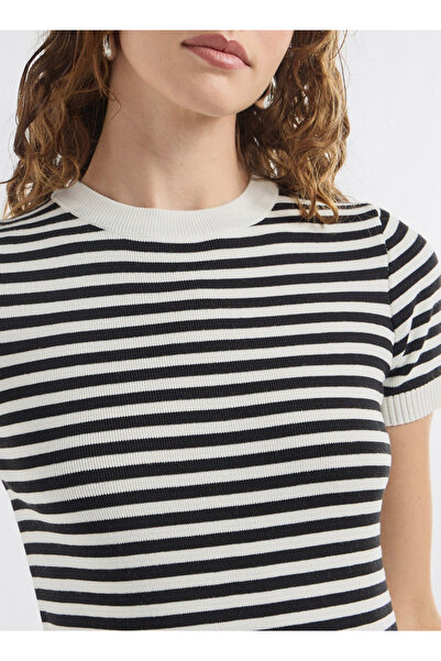 FAV Striped Crew Neck T-shirt With Short Sleeves