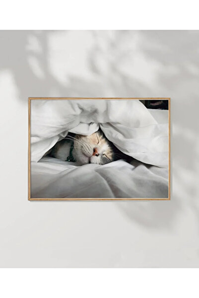 VOGLOO Cat Sleeps Poster