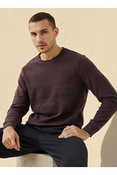 FAV سويت شيرت منقوش