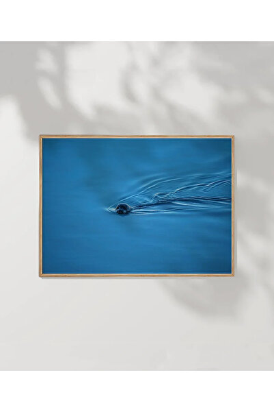 VOGLOO Blue Otter Floating in Water Poster
