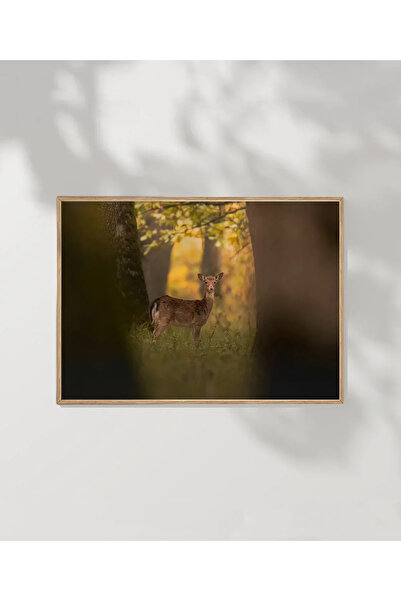 VOGLOO Deer in the Forest Poster