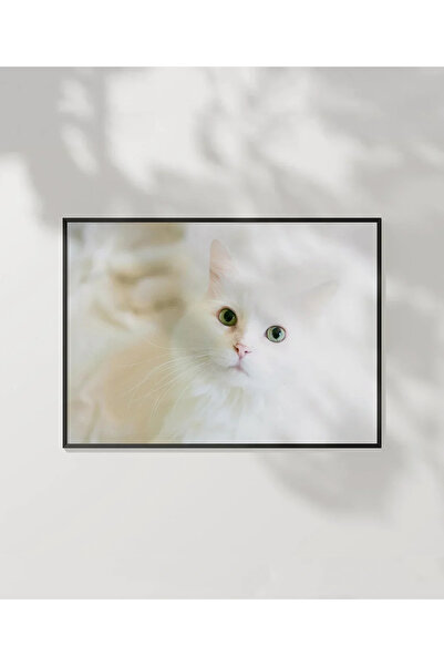VOGLOO White Cat Poster