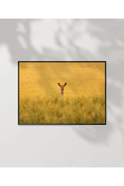 VOGLOO Deer in the Golden Field Poster