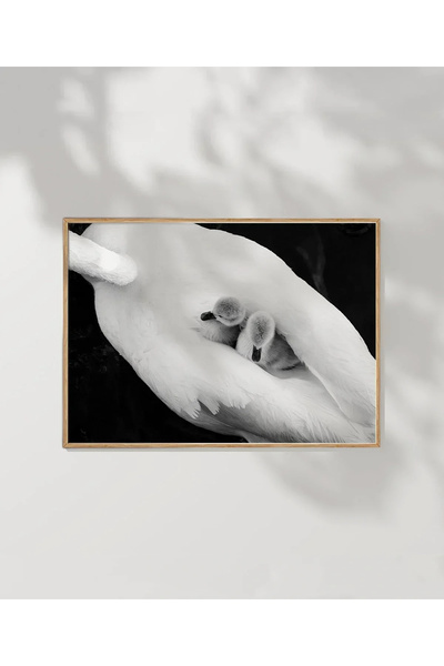 VOGLOO White Bird Poster