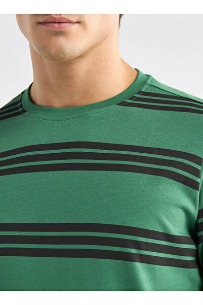 FAV Striped T-shirt with Crew Neck and Short Sleeves