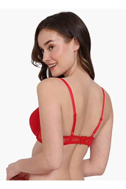 Zivame Lace Panel Padded Demi Bra