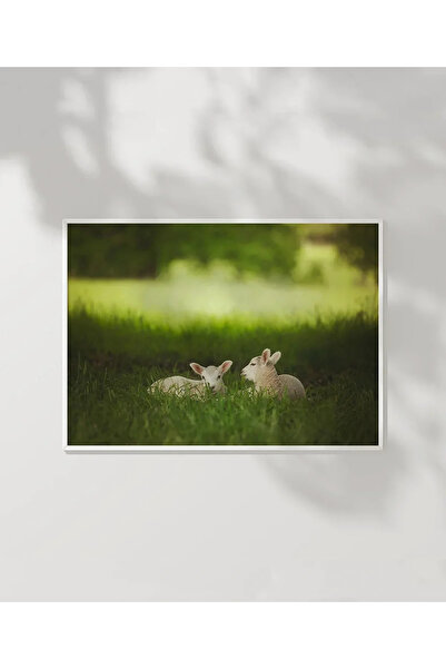 VOGLOO Deer Spring Duo Poster