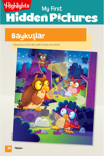 Dikkat Atölyesi Yayınları Highlights My First Hidden Pictures Set of 4