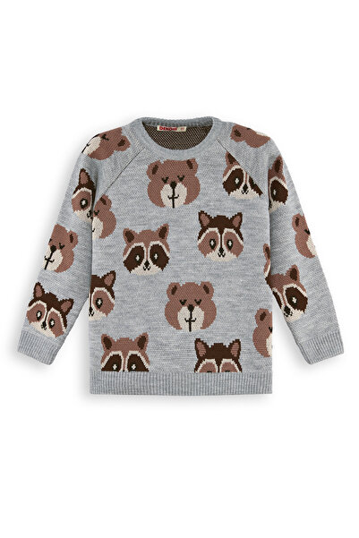 Denokids Bear Raccoon Boy's Gray Knitwear Sweater
