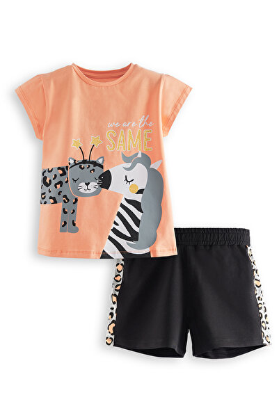 Denokids Zebra and Leo Girl T-Shirt Shorts Set