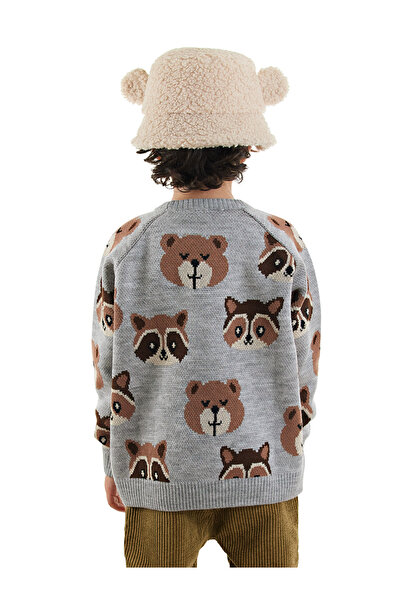 Denokids Bear Raccoon Boy's Gray Knitwear Sweater