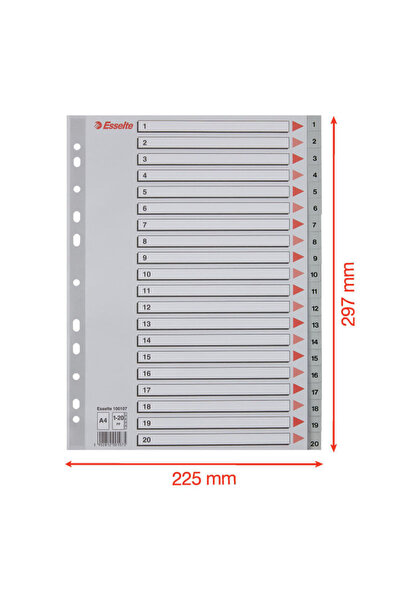 Esselte Index A4 numerotat 1-20