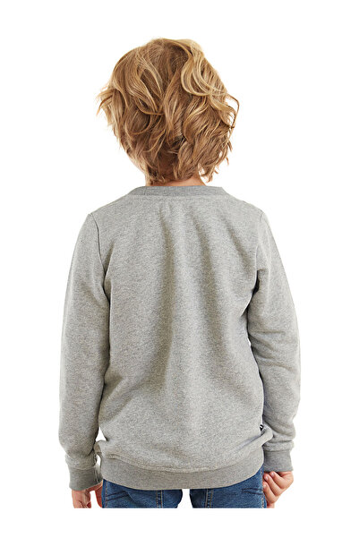 Denokids Boy's Cute Long Sleeve Sweatshirt - Cars
