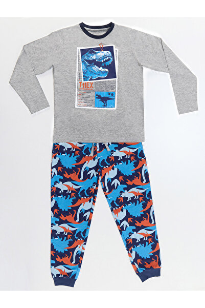 MSHB&G T-rex Info Boy's T-shirt Trousers Set
