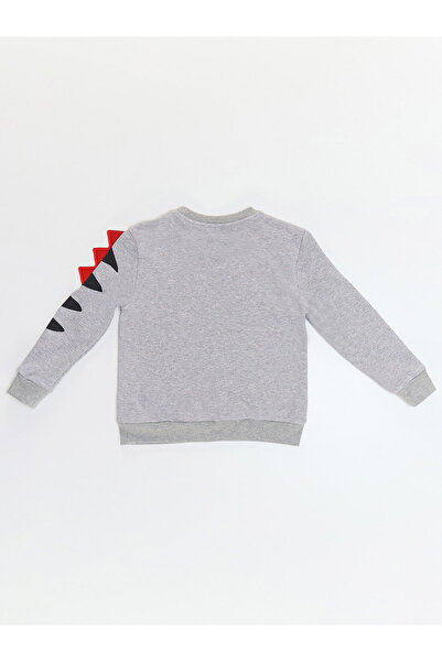 Denokids Candy Dinosaur Boy Gray Sweatshirt
