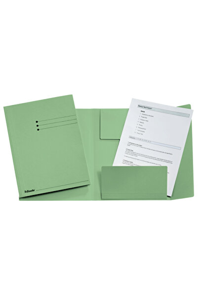 Esselte cardboard envelope file 3 flaps light green