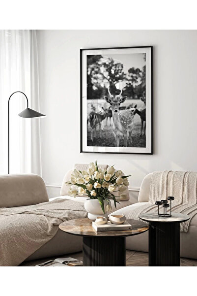 VOGLOO Frameless Poster Curious Glances