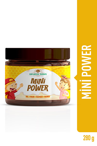 Organik Miras Atom 280gr