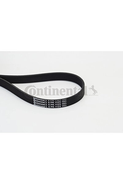 Continental Curea Transmisie Cu Caneluri Citroen C3 1 Lada 110/111