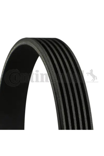 Continental Curea Transmisie Cu Caneluri Mazda 3/5 Mercedes-Benz C-Class/Clk/...