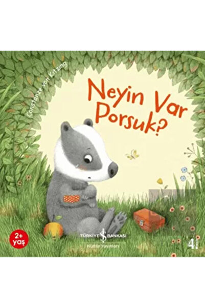 TÜRKİYE İŞ BANKASI KÜLTÜR YAYINLARI Neyin Var Porsuk?