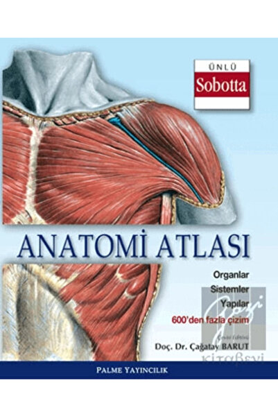 Palme Yayınevi Anatomi Atlası (Sobotta Çizimleri)