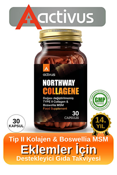 ACTİVUS Northway Kolajen tip 2 Eklem desteği Tam Destek Metilsülfonilmetan MS...