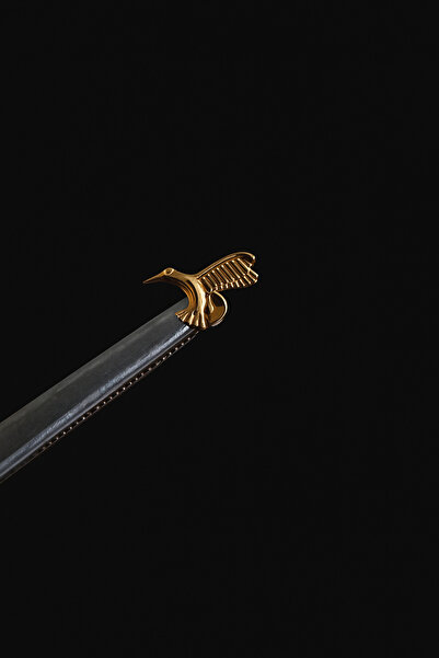 Rupen Kraft %100 G23 Titanyum Kuş Altın Titanyum 8x1.2mm Tragus Kıkırdak Conc...