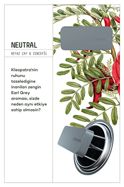 BE IN A GOOD MOOD Araba Klima Kokusu, Flat Oto Kokusu, Profesyonel Otomobil Kokusu - Neutral