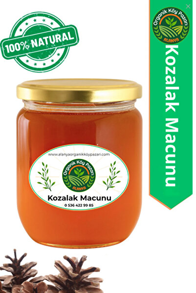 alanya organik köy pazarı %100 Doğal Ballı Polenli Zencefilli Zerdeçallı Koza...