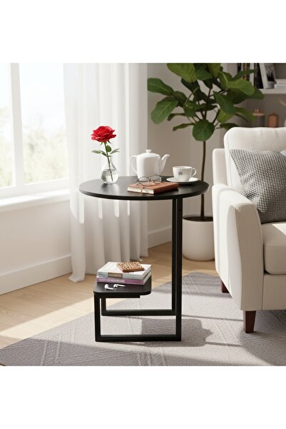 Generic Modern Multi-Purpose Side Table - Double-Layer Coffee Table