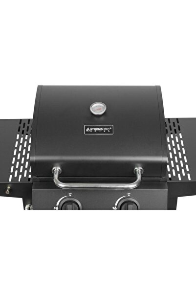 Strend Pro Garden barbecue, rectangular grill, gas, 2 burners, 96x50x100 cm, BBQ Andora