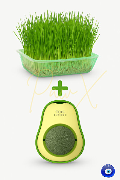 PAPYONPETSHOP Doğal Fileli Kedi Çimi Seti ve Avokado Catnip Kedi Nanesi Oyuncağı Kedi Otu 2si 1 Arada