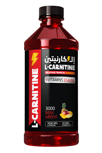 Fitness Secrets L-Carnitine 3000 with Vitamins B5 & B6 | Highly Absorbent Liquid | 480ml Tropical Flavor