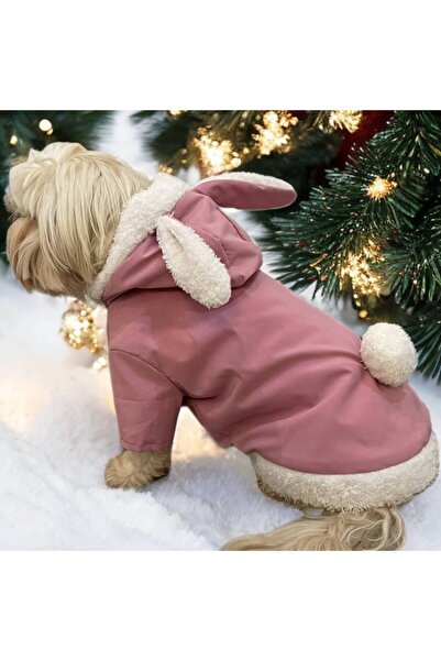 Kedi köpek pembe tavşanlı mont